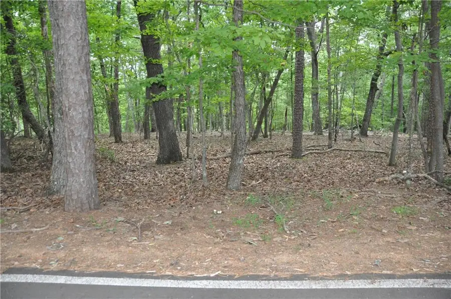 2468 Wedgewood Drive, Big Canoe, GA 30143 - #2