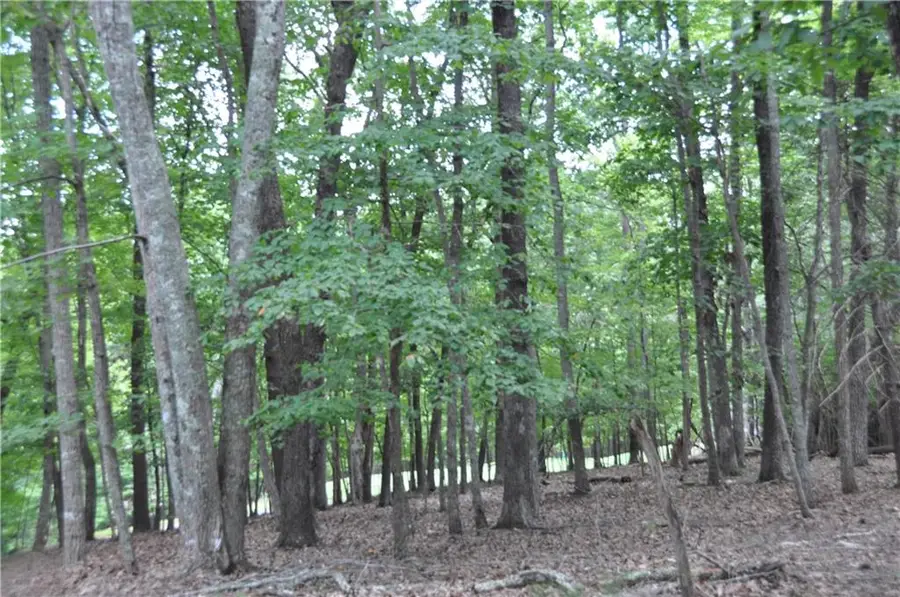 2468 Wedgewood Drive, Big Canoe, GA 30143 - #3