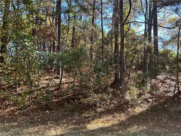 2090 Lee Peters Road, Loganville, GA 30052