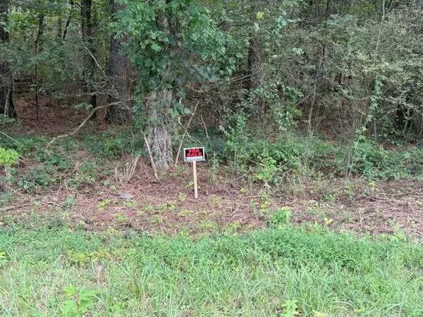 0 Iron Hill Road Lot 4, Taylorsville, GA 30178