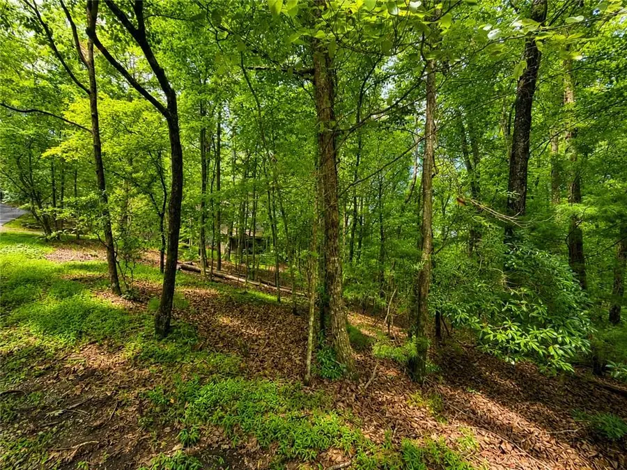 J208 Pine Ridge Road, Ellijay, GA 30536 - #3