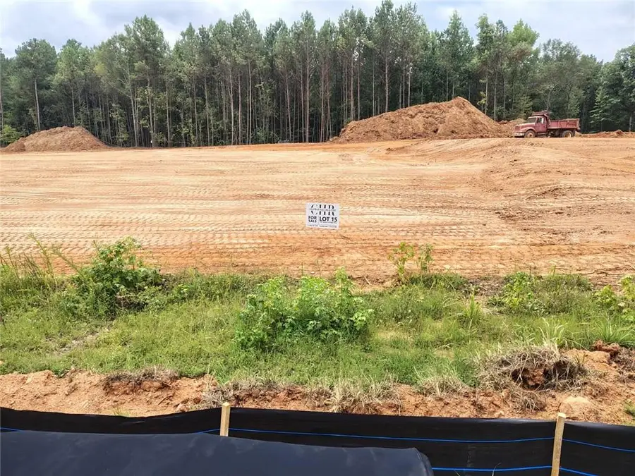 1028 Queens Bridge Way, Griffin, GA 30223 - #2