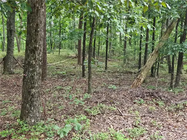 1467 Hanna Drive, Ranger, GA 30734