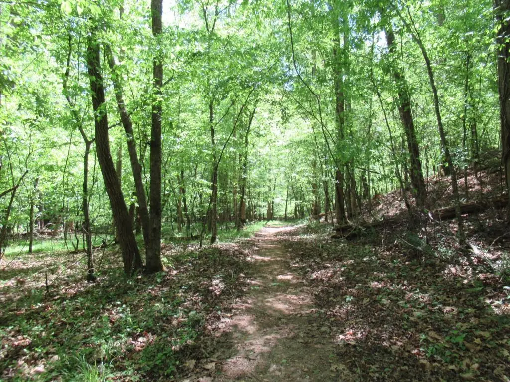 0 Chestatee Drive, Dahlonega, GA 30533 - #1