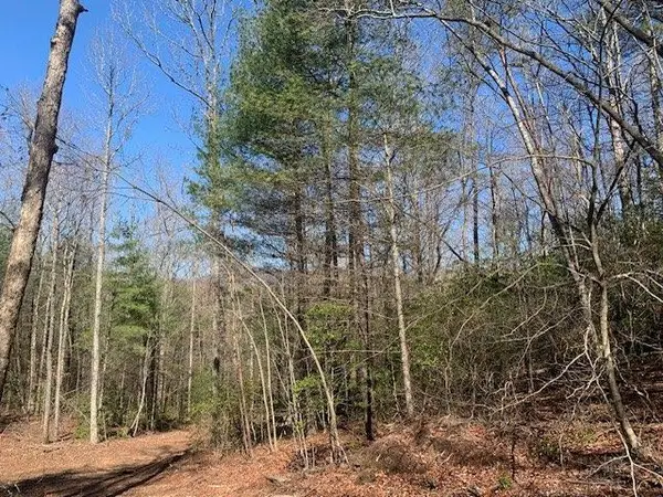0 East New Hope Road, Ellijay, GA 30536