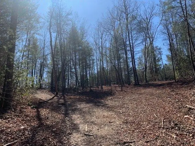 0 East New Hope Road, Ellijay, GA 30536 - #2