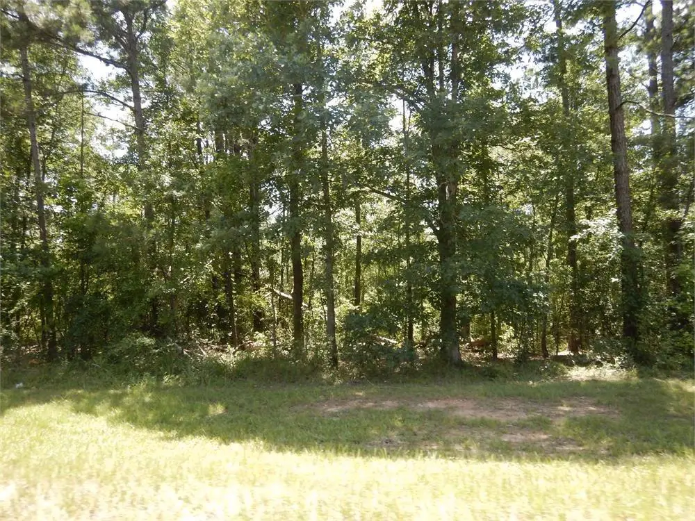 2771 Carey Station Rd Street, Greensboro, GA 30043 - #1