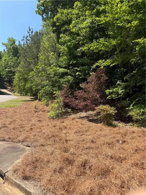 702 Windsor Estates Way, Canton, GA 30115 - #1