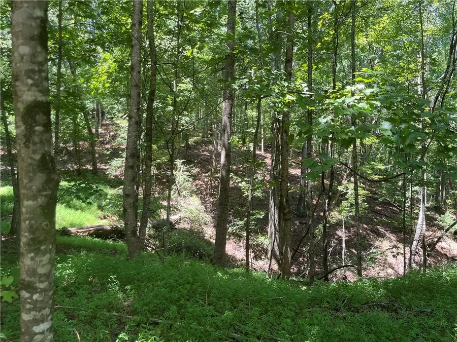 0 S Twin Oaks Drive, Ellijay, GA 30540 - #2