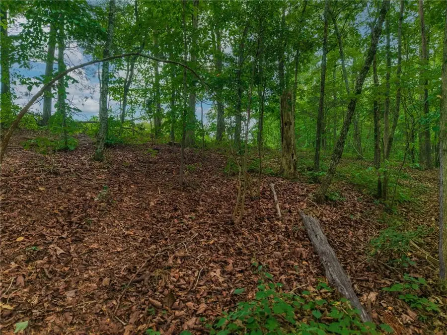 0 Hobgood Road, Rydal, GA 30171 - #2