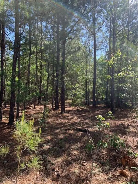 Address Withheld By Seller, Bartow, GA 30413 - #1