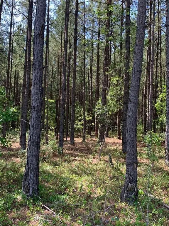 Address Withheld By Seller, Bartow, GA 30413 - #2