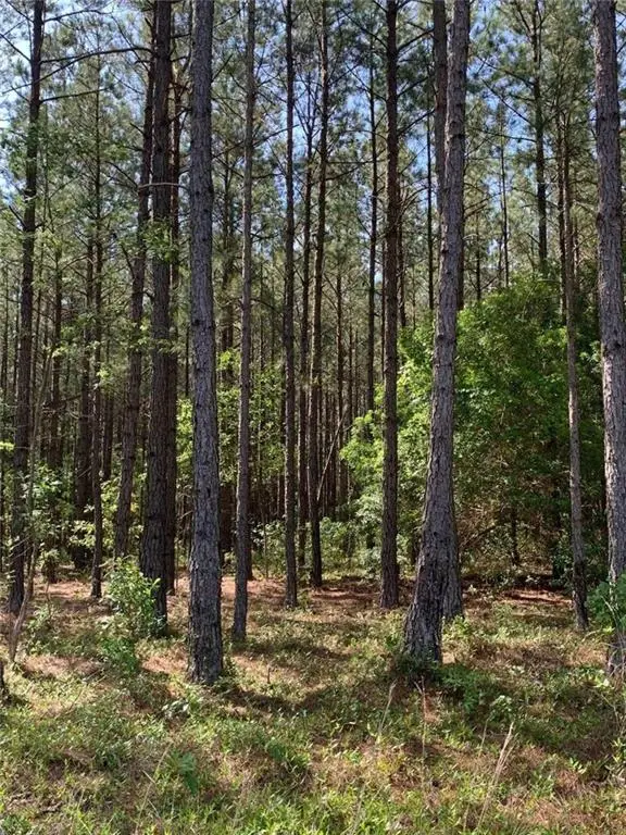 Address Withheld By Seller, Bartow, GA 30413 - #3