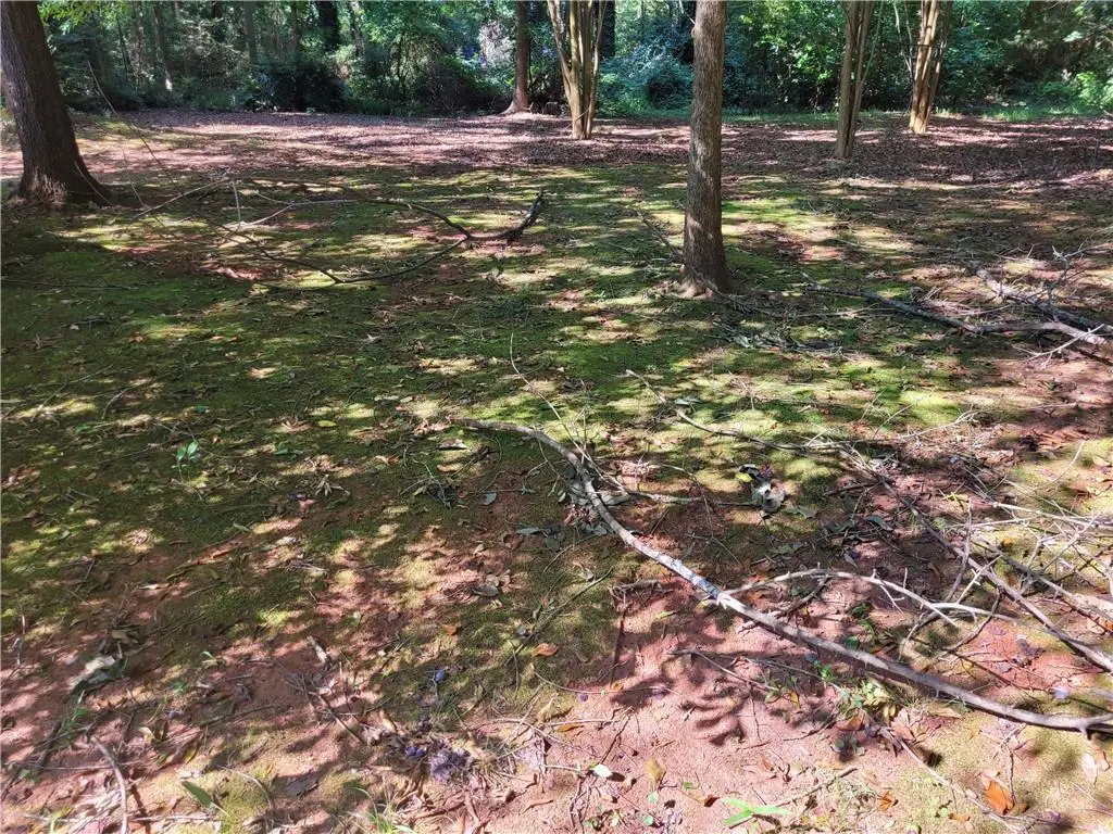 37 Knottywood Drive, Lavonia, GA 30553 - #1