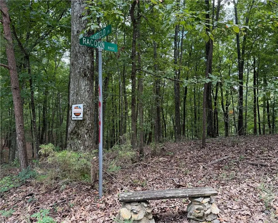 LOT 10 Mayfield Lane, Ranger, GA 30734 - #1