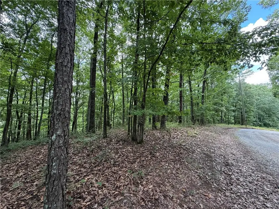 LOT 10 Mayfield Lane, Ranger, GA 30734 - #2