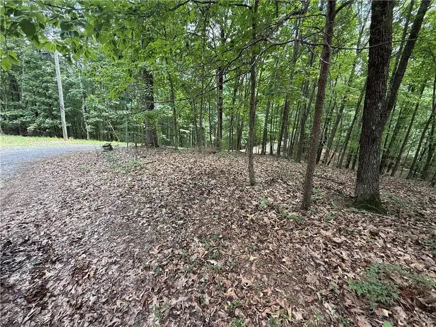 LOT 10 Mayfield Lane, Ranger, GA 30734 - #3