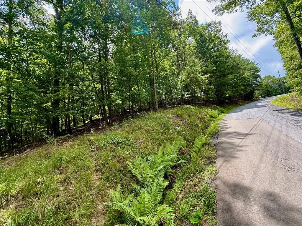 LOT 7 Stirratt Road, Ranger, GA 30734 - #1