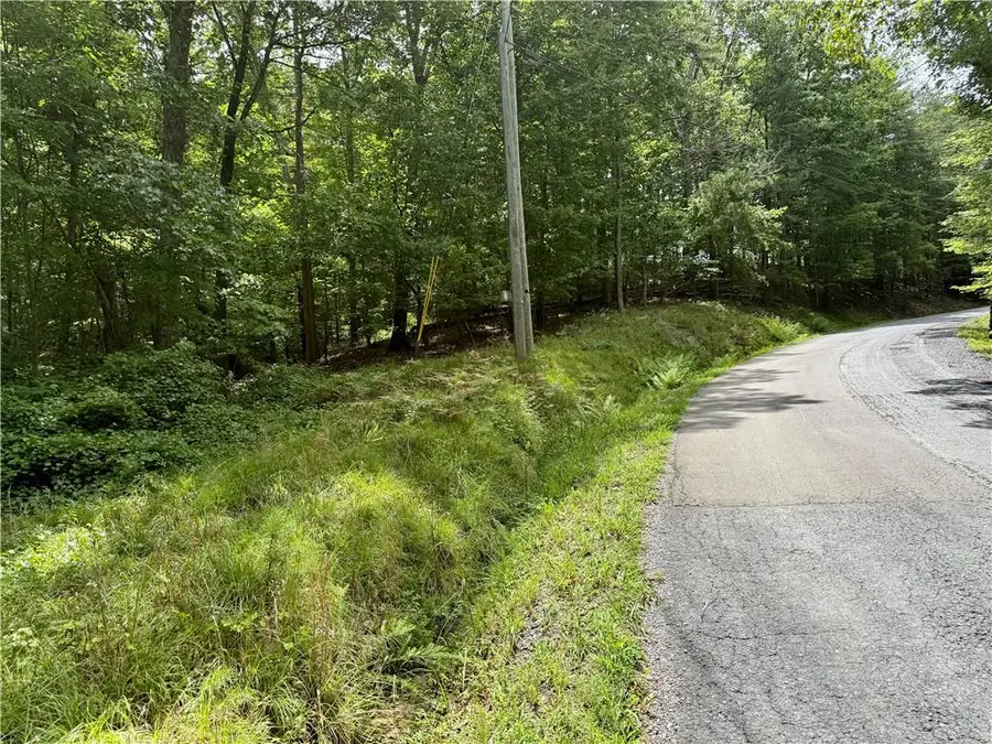 LOT 7 Stirratt Road, Ranger, GA 30734 - #2