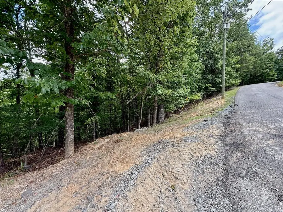 LOT 7 Stirratt Road, Ranger, GA 30734 - #3