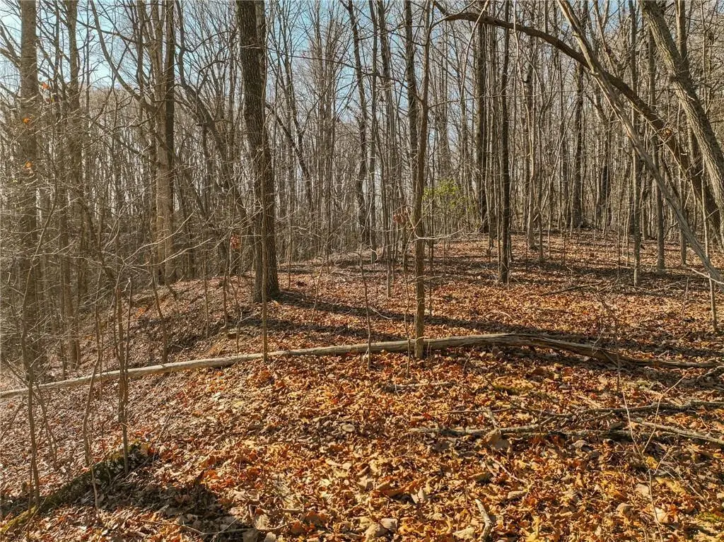 Lot 5 Mount Mincie Road, Murrayville, GA 30564 - #1