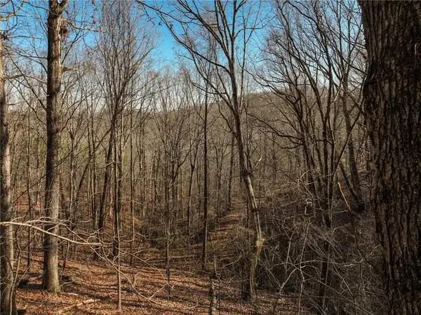 Lot 10 Mount Mincie Road, Murrayville, GA 30564