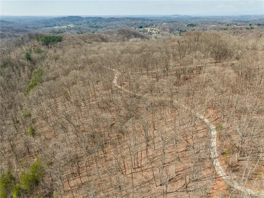 Lot 10 Mount Mincie Road, Murrayville, GA 30564 - #3