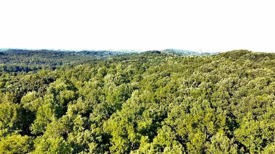 6282 Dawsonville Highway, Dawsonville, GA 30534 - #2
