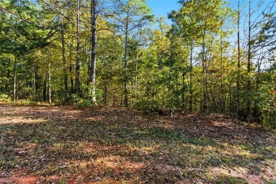 7794 Gusty Trail, Douglasville, GA 30135 - #3