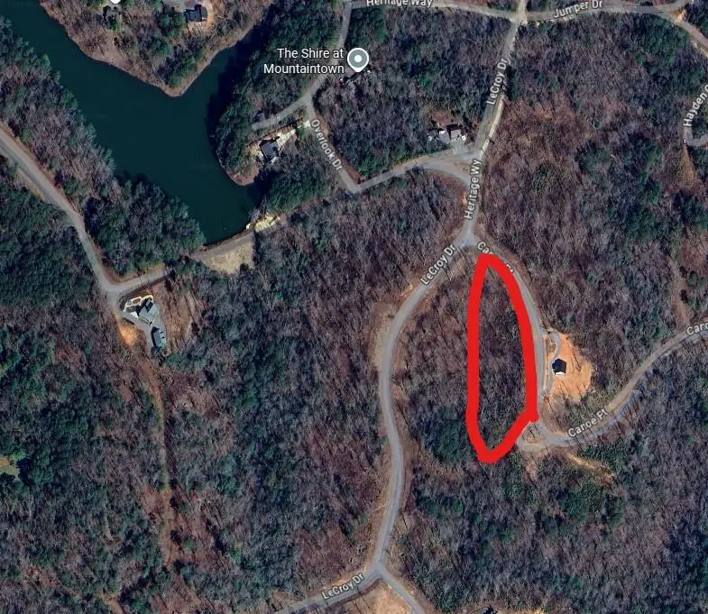 0 Canoe Point, Ellijay, GA 30540 - #1