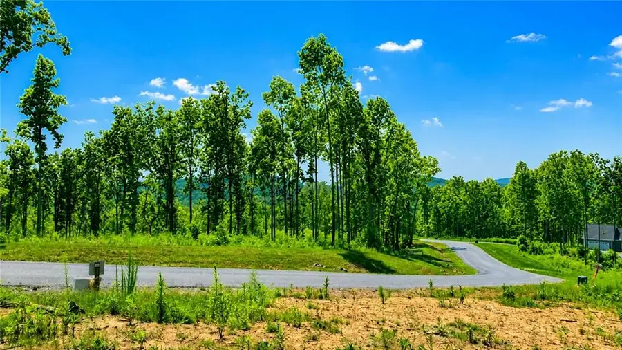 1084 Highgrove Drive, Talking Rock, GA 30175 - #3