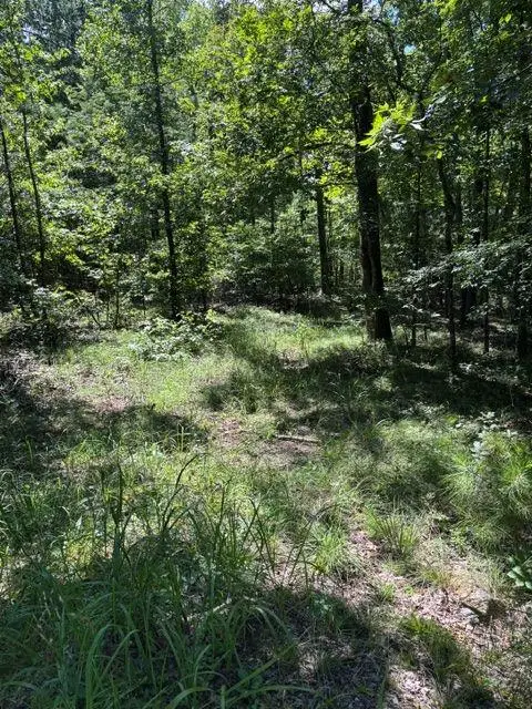 3980 Clinton Court, Villa Rica, GA 30180