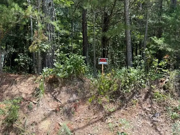0 Iron Hill Road Lot 1, Taylorsville, GA 30178