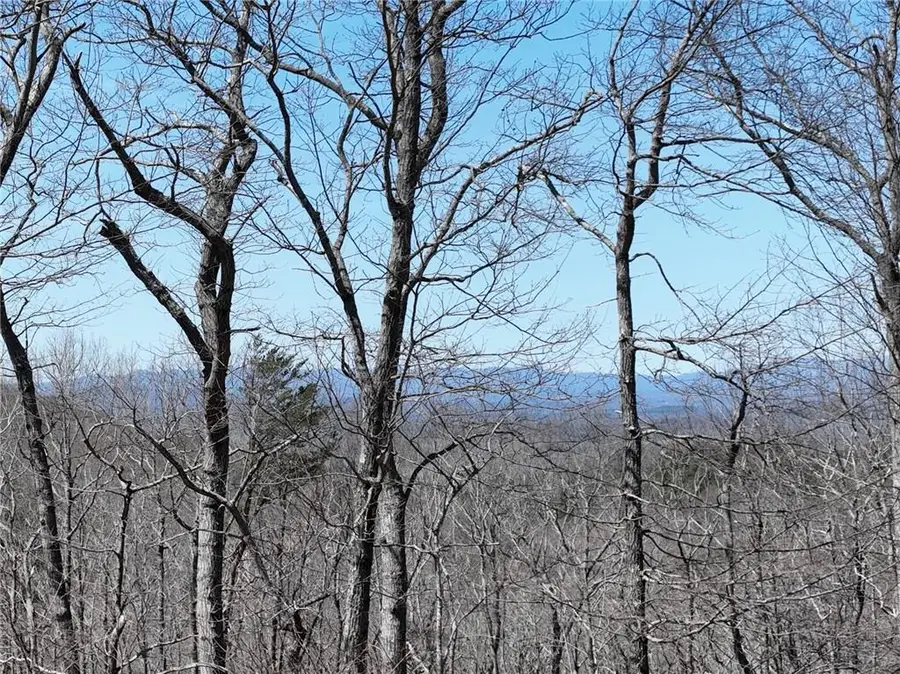 58 Saint Andrews Way, Ellijay, GA 30536 - #2