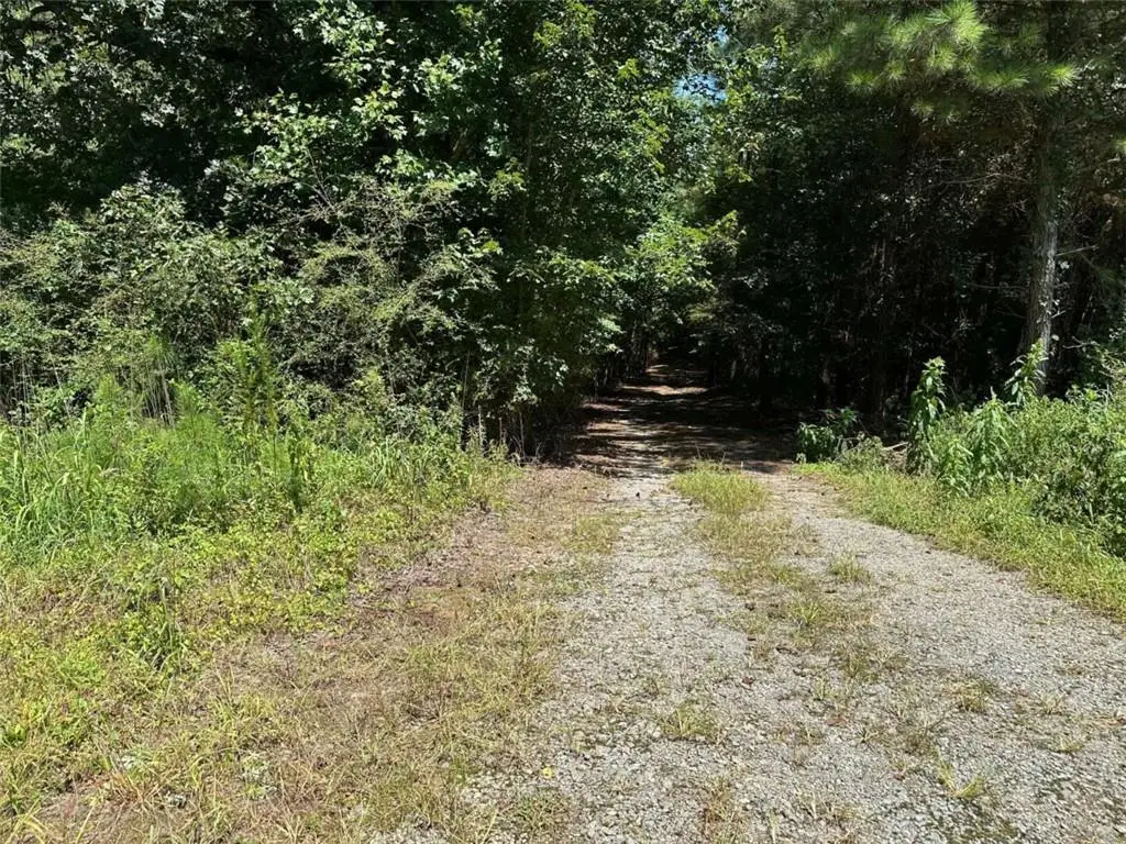 305 Wildcat Road, Buchanan, GA 30113 - #1