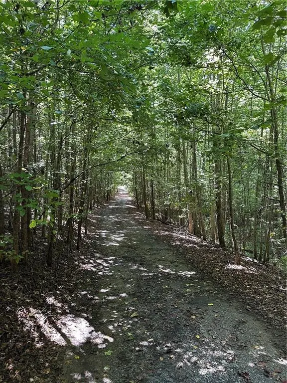 305 Wildcat Road, Buchanan, GA 30113 - #2