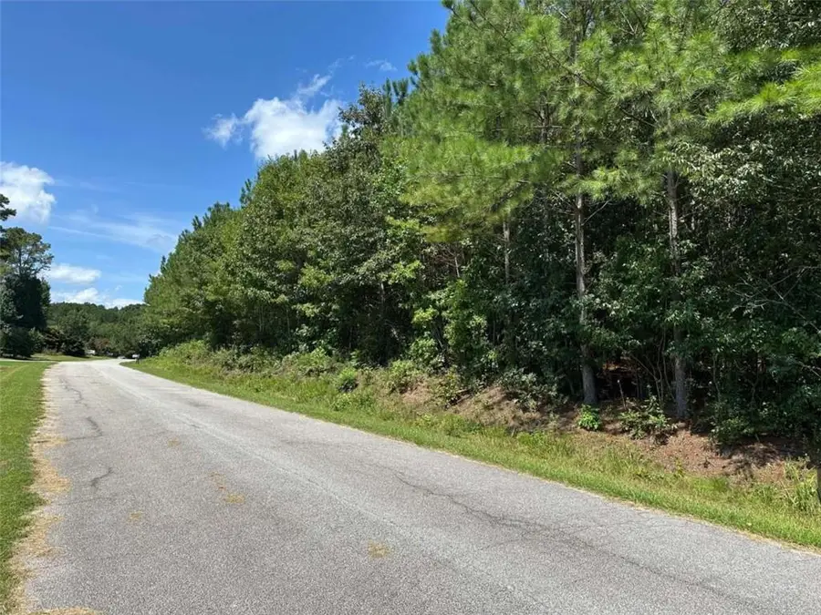 305 Wildcat Road, Buchanan, GA 30113 - #3