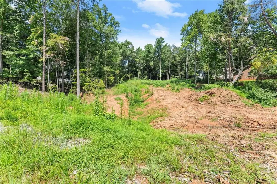 8690 Bayhill Drive, Gainesville, GA 30506 - #3