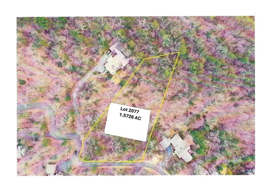 1183 Mcelroy Mountain Drive, Big Canoe, GA 30143 - #1