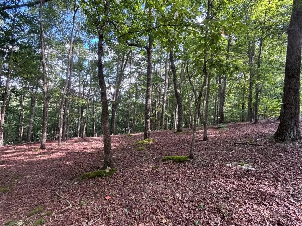 LOT 5 Westwood Avenue, Blairsville, GA 30512 - #1