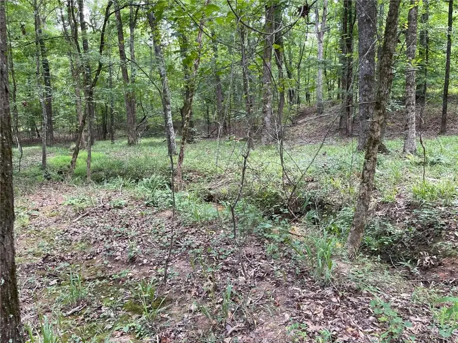 148 Harmony Bay Drive, Eatonton, GA 31024 - #3
