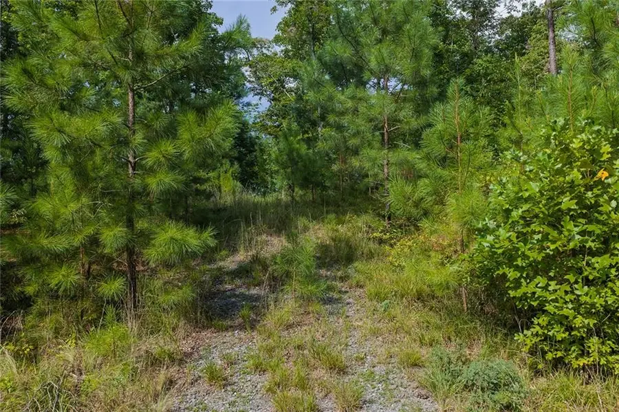 0 Harris Creek Drive, Ellijay, GA 30540 - #3