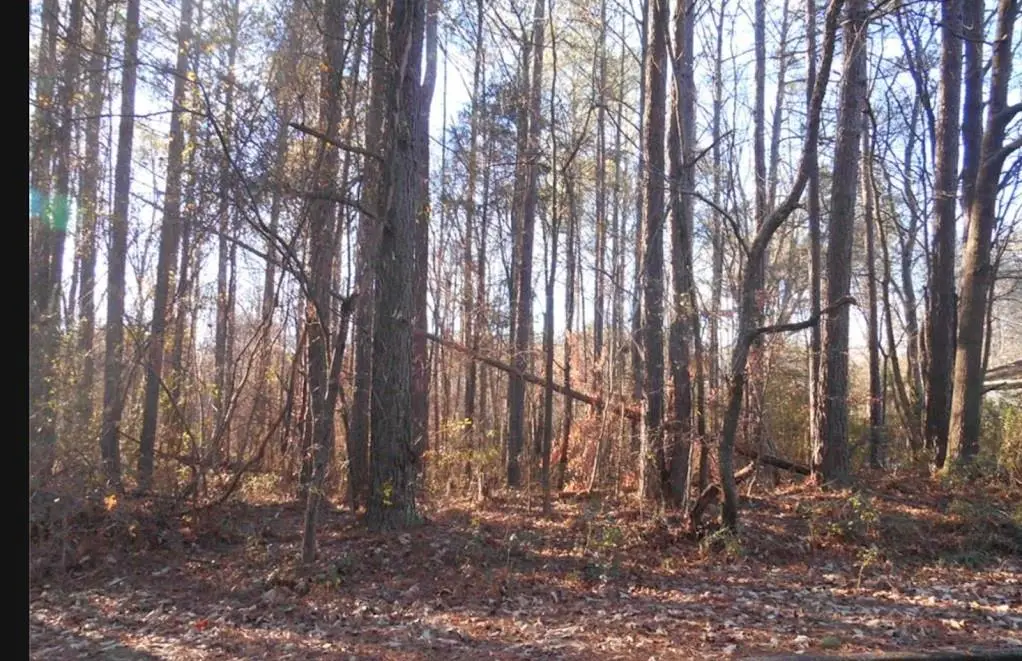 0 Bartlett Circle, Bowdon, GA 30108 - #1