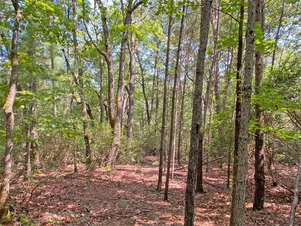 10.59 Ac, T S Jarrard Road, Dahlonega, GA 30533 - #1