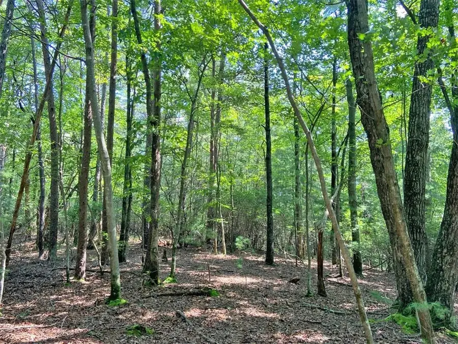 10.59 Ac, T S Jarrard Road, Dahlonega, GA 30533 - #2