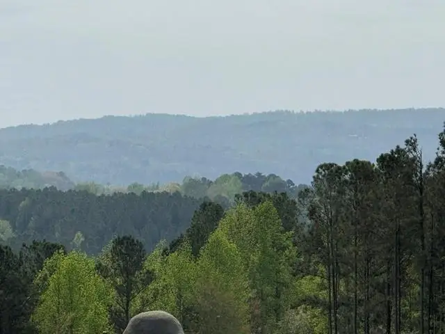 1100 Fuller Mountain, Ludville, GA 30143 - #3