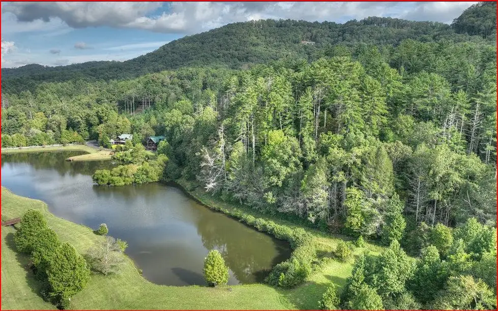 0 Walker Ridge Way, Mineral Bluff, GA 30559 - #1
