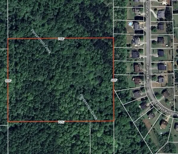 0 0 117-7-066-006, Palmetto, GA 30268