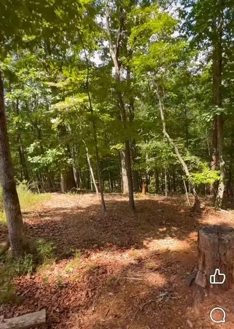 0 Rusty G Place, Dawsonville, GA 30534 - #2