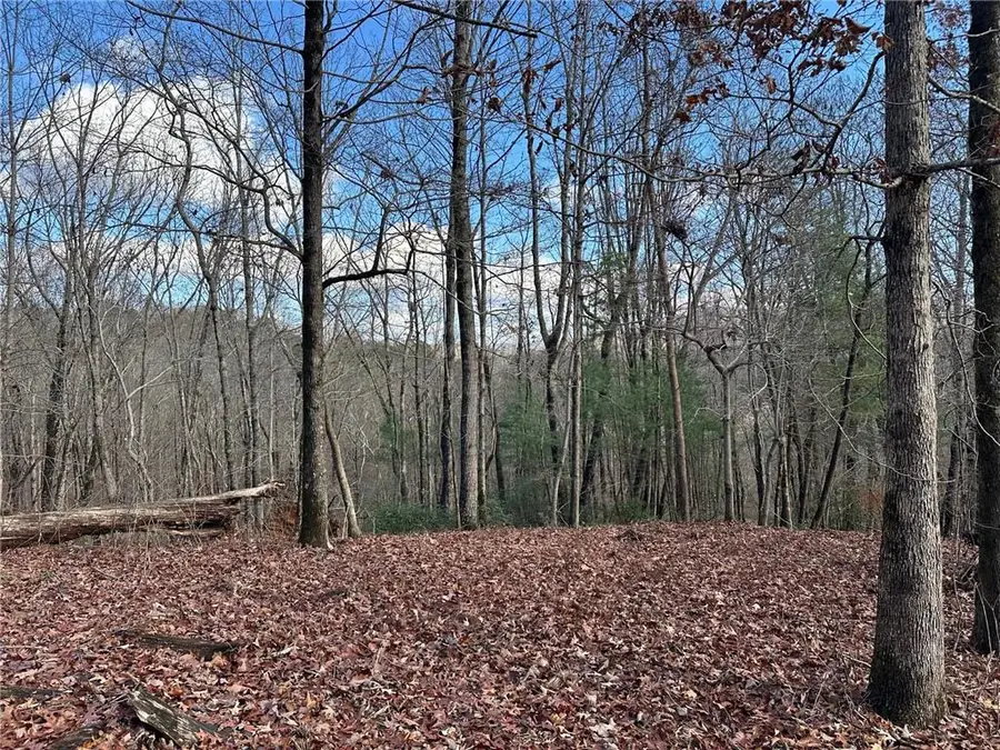 200 Mincey Acres Drive, Murrayville, GA 30564 - #3
